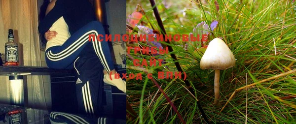 мет Сафоново