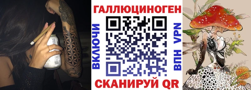 MEGA ТОР  Луховицы  Галлюциногенные грибы Psilocybe 